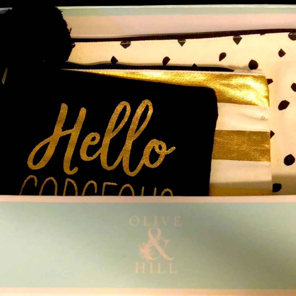 Trio cosmetic bag pouch set